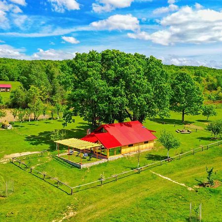 Novaci-Străini Casuta Din Stejari-Transalpinaヴィラ エクステリア 写真